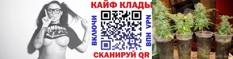 Виды наркоты Магадан БУТИРАТ Альфа ПВП Гашиш КОКАИН Конопля