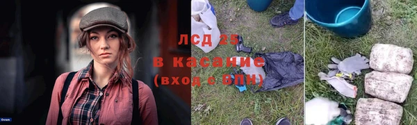 2c-b Нея