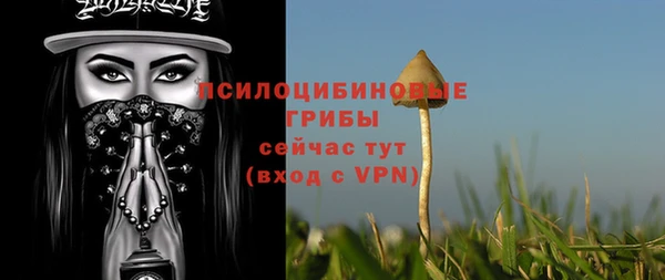 круглые Арсеньев
