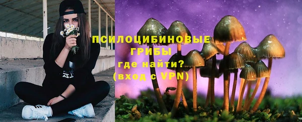 jwh Аркадак