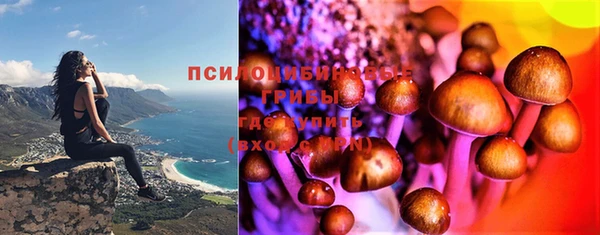 круглые Арсеньев